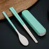 Conjunto de louça de palha de trigo conveniente Colher presente conjunto de duas peças estudante conjunto de louça para exterior