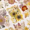 Materiais DIY para gravação em relevo com flores secas, porta-retrato com flores prensadas em resina de flor real, marcador de página com espécime de planta feito à mão, kit de material para pintura de folhas