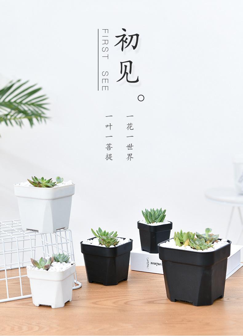 详情图片_01.jpg