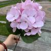 Arreglo floral de fiesta de fantasía rosa y morado, simulación de flores y mariposas, fondo floral a juego, decoración de tienda, flores falsas al por mayor