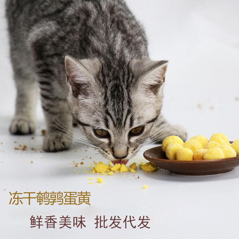 14735227856_772951769