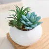 Nuevo Macetero Oval de Porcelana Planta Suculenta Artificial en Maceta Adornos para Sala de Estar Bonsái de Escritorio Planta Verde de Oficina Adornos de Interior