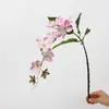 Colgante de planta Fruto de aliso Pegamento suave Fruto de frijol del amor Colgante de pared Decoración de paisajismo Accesorios para arreglos florales Seda suave