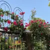Espaldera para Rosas Trepadoras Plantación de Clematis Valla de Jardín Soporte para Flores de Exterior Poste de Soporte Hierro Forjado Plantas Trepan
