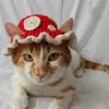 Amazon Cross-Border Novo Produto Suéter Crochê Feito à Mão para Pet Chapéu de Lã com Renda de Natal Chapéu de Fantasia para Festas