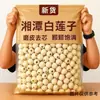 Semillas de Loto Xiangtan, Secas, Sin Azufre, No Silvestres, Grado No Premium, Semillas de Loto Blancas, Suaves y Pegajosas, para Sopa y Gachas