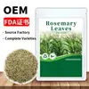 Productos Transfronterizos: Manzanilla, Hibisco, Jamaica, Lavanda, Romero, Madreselva, Rosa, Crisantemo, Té de Menta
