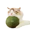 Juguete para Gatos Extra Grande Bola de Hierba Gatera Entretenimiento Propio Diversión Cosa Buena Gatitos Gatitos Palo para Molestar Suministros para Gatos Mascotas Molienda de Dientes