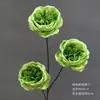 Flor de Simulación Verde Decoración Auditorio de Bodas Material de Flores para Bodas Flor Exterior Planta Verde Belleza Chen Arreglo Sanwei Kwai Mori Ceremonial de Bodas