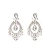 Pendientes de Borla Flor de Diamante Incrustada con Aguja de Plata 2025 Pendientes de Nicho Exagerados de Industria Pesada Europea y Americana Lujo Accesible Pendientes de Gama Alta para Mujer