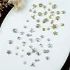 Serie estilo océano accesorios de aleación para decoración de uñas mini versátiles estrella de mar concha sirena cocotero decoraciones de uñas DIY
