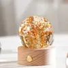 Suministro Transfronterizo Bola de Cristal de Resina Incrustada Luz Nocturna Flor Eterna Base de Madera Maciza Tallada en 3D Luminosa Regalo de Cristal
