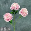 Flor Artificial de Lichi Rosa de 3 Cabezas para Decoración de Salón de Bodas, Arreglo para el Hogar, Rosa Serigrafiada, Adorno de Flores Artificiales Transfronterizo al por Mayor