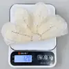 Color Poliéster Lentejuelas Perlas Tubo Bordado Flor Tela Pegatinas Hecho a Mano DIY Ramillete Lujo Ligero Accesorios para el Cabello Decoración Accesorios Venta al por Mayor