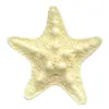 Accesorios de resina para zapatos con temática de concha, delfín y estrella de mar, dijes para zuecos, hebillas para zapatos, decoraciones para sandalias y pantuflas DIY