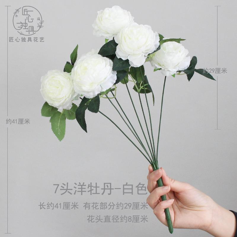 7头洋牡丹-白色