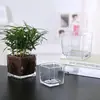 Jarrón de cristal cuadrado transparente jarrón de cristal cuadrado cilindro cuadrado boca cuadrada maceta cuadrada para plantas carnosas decoración del hogar péndulo jarrón hidropónico