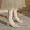 Zapatos de mujer CH60-40 de una sola capa con lentejuelas y tacón grueso, dorados Nuevos para mujer Primavera y Otoño 2024 Sexy de punta Bajos con escote Alto