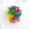 Flores Secas, Gypsophila, Flores Eternas, Materiales para Manualidades, Rosa, Decoraciones de Piñas, Regalos de San Valentín, Venta al por Mayor de Alta Gama
