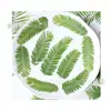 Hojas de Metasequoia glyptostroboides hojas repujadas flores secas y flores especímenes de plantas pegatinas hechas a mano para niños pegamento de gota materiales para marcapáginas diy