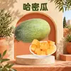 Melão Hami de Hainan Dropshipping 4-5/8-9 jin Primeira colheita Melão Doce Mel de Xizhou Cor de Melão do Rio Amarelo Caixa Colorida Fruta Fresca