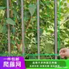 Malla para enrejado para judías verdes, calabazas colgantes, luffas, calabazas amargas, pepinos, maracuyá y otras plantas trepadoras; malla de soporte para agricultura.