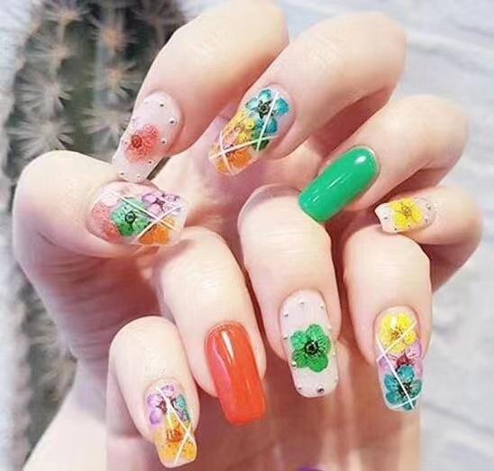 珍珠梅