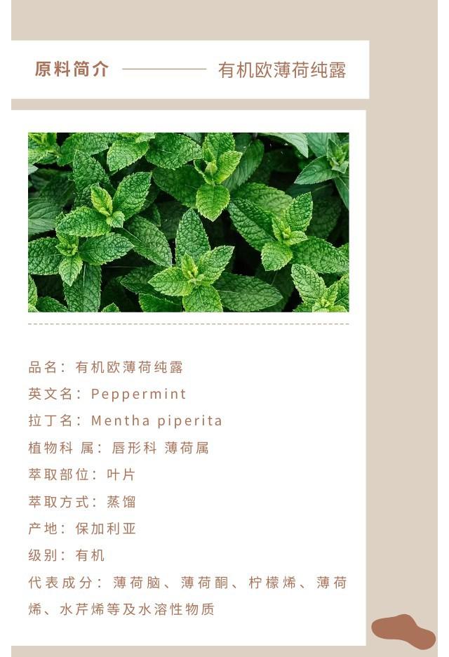 欧薄荷纯露.jpg