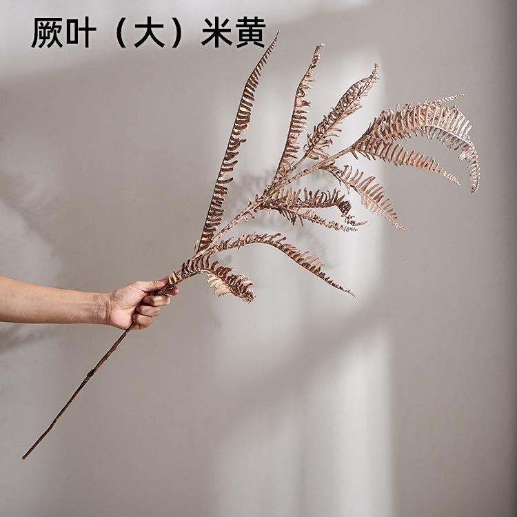 厥叶（大）米黄
