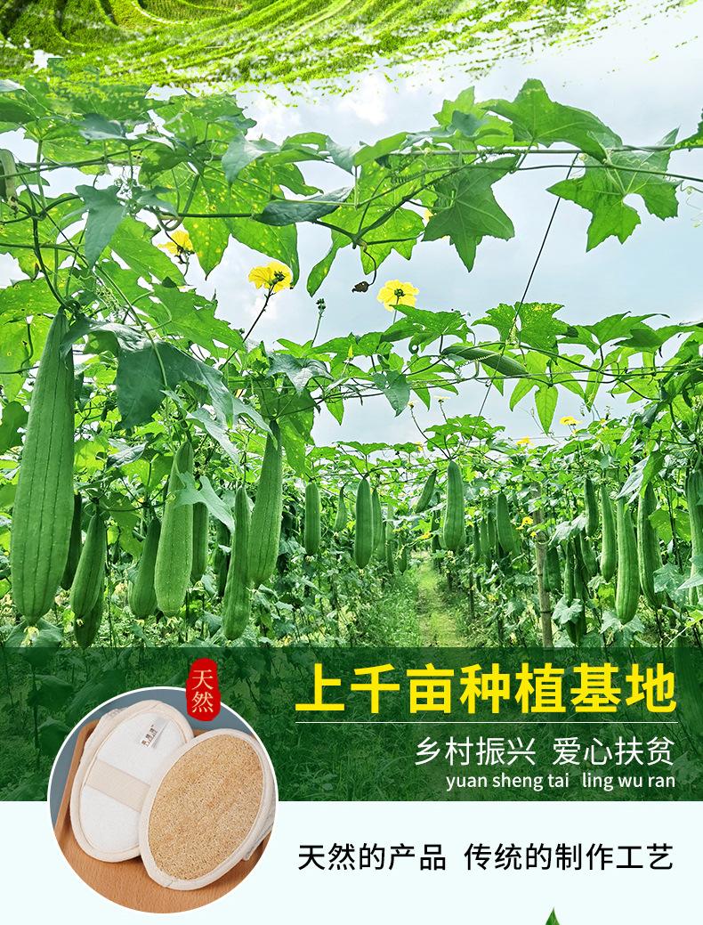 丝瓜络多功能清洁擦_04.jpg