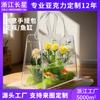 Ornamentos de Bolsa Acrílica Vaso Aquário Paisagismo Ecológico Forma Mochila Transparente Pequeno Sala de Estar Artesanato