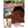 Madera Brasileña Suelo Cultivo de Flores Suelo Nutritivo Universal Ladrillo de Coco Maceta Abono Orgánico Suelo para Flores Antibacteriano