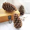 Paquete de materiales DIY hecho a mano flores mixtas plantas flores secas estilo bosque de jardín de infantes creación de anillos decoración piñas de Navidad