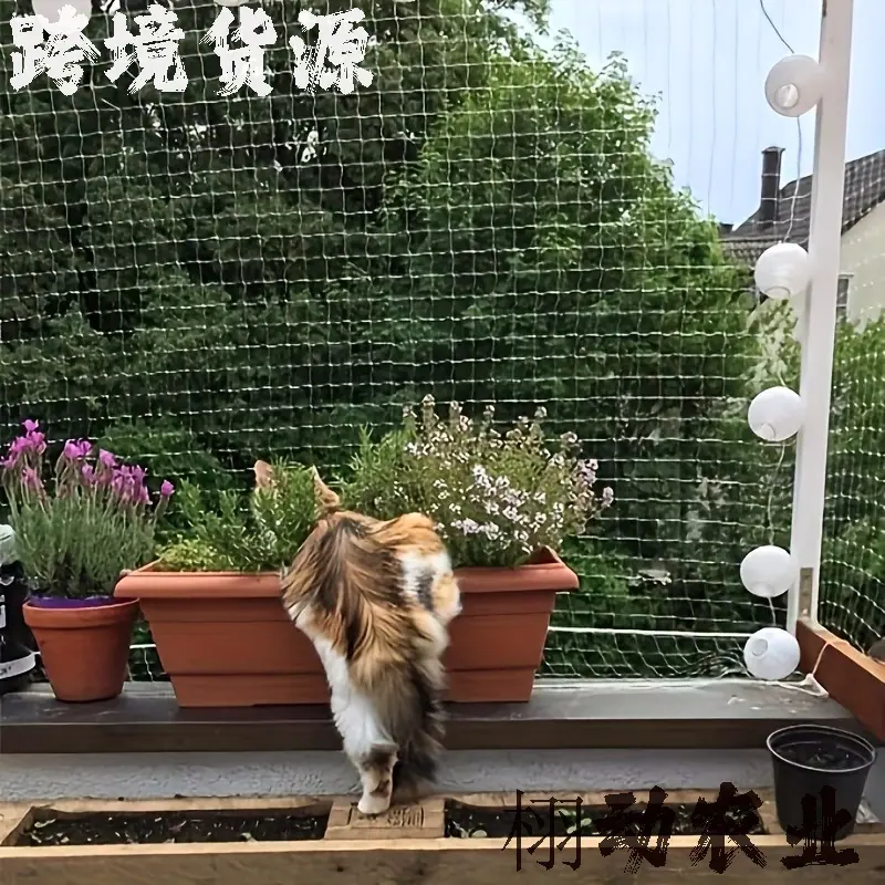 白色防鸟网