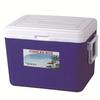 Venta al por mayor 45L juego de cuatro piezas cuadrado de plástico portátil para exteriores incubadora refrigerador caja bento caja de hielo
