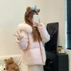 Jaqueta Feminina Curta de Penas com Capuz e Gola Grande de Pelo para Pessoas Baixinhas Estilo Coreano de Inverno Solta Acolchoada Quente Outerwear