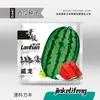 Fabricante Original Atacado Sementes de Melancia Açúcar de Pedra Kirin 8424 Mel Melão Pequeno Preguiçoso Rei Sementes de Pele Preta