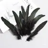 Plumas de Cola de Gallo de Colores 15-20 Manualidades DIY Tocado Indio Performance Juguete para Gato Plumas de Volante