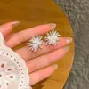 Novos Brincos de Fogos de Artifício Deslumbrantes para Mulheres, Cheios de Diamantes, Brilhantes, Brincos com Design de Nicho, Elegantes e Versáteis, Brincos para o Dia a Dia Atacado