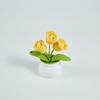 Nova Tulipa Criativa Tecida à Mão Flor Simulada em Vaso Produto Acabado Crochê de Lã Decoração de Mesa Ornamentos Venda por Atacado
