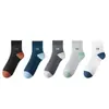Meias masculinas Zhuji de verão, finas, em malha, respiráveis, cor sólida, cano longo, absorventes de suor, meias casuais masculinas de verão