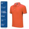 Camisa pólo de algodão penteado bordado impressão logotipo Empresa Roupas de trabalho Grupo Manga curta Roupas de trabalho masculinas e femininas Paul T-shirt Impressão