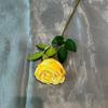 Flor de Rosa Artificial Rosa Imperial de Haste Curta Flor Artificial Individual para Decoração de Casa Arranjo Floral de Casamento