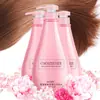Coco zeusee Shampoo Condicionador Sabonete Corporal Kit de Lavagem Hidratante Aminoácido Fábrica Atacado