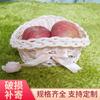 Cesta de Armazenamento de Frutas para Lanche de Mesa Cesta de Armazenamento Criativa de Rattan para Casa Cesta de Frutas Colorida Tecida à Mão