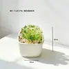 Maceta de Flor de Peonía de Vidrio Zibo Planta Flor de Vidrio Artificial Regalo del Día de la Madre Decoración de Escritorio Coche Artesanía