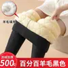 Pantalones Térmicos de Lana de Fuente Ultra Gruesos de Lana de Cordero Capa Base Pantalones para Mujer Temporada Otoño/Invierno Más Terciopelo Más Gruesos Ropa Interior Cintura Alta Dongdai Fa