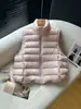 Chaleco de Canalé Nuevo Otoño e Invierno 90 Chaqueta de Plumón de Pato Blanco 2025 Chaleco de Cuello Alto Ropa Exterior Cálida Acolchada Chaleco Engrosado