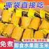 Maíz dulce en trozos de fruta listo para comer, snack sin cocción, envasado al vacío, apto para reemplazo de comida en el trabajo