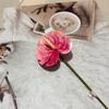 Flores Artificiales de Anturio Simuladas Se Pueden Enviar en Flores Artificiales para Flores de Boda y Palmeras Grulla de Fuego 13cm Ramos Simulados con Acabado de Alta Gama